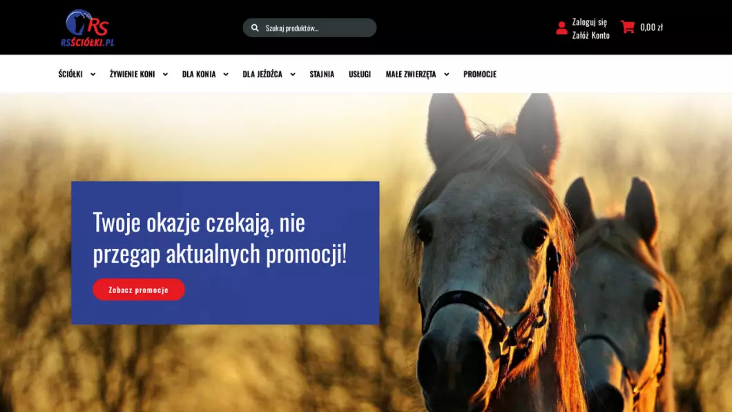 Zrzut ekranu strony