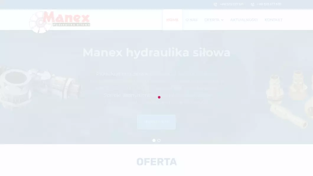 Zrzut ekranu strony